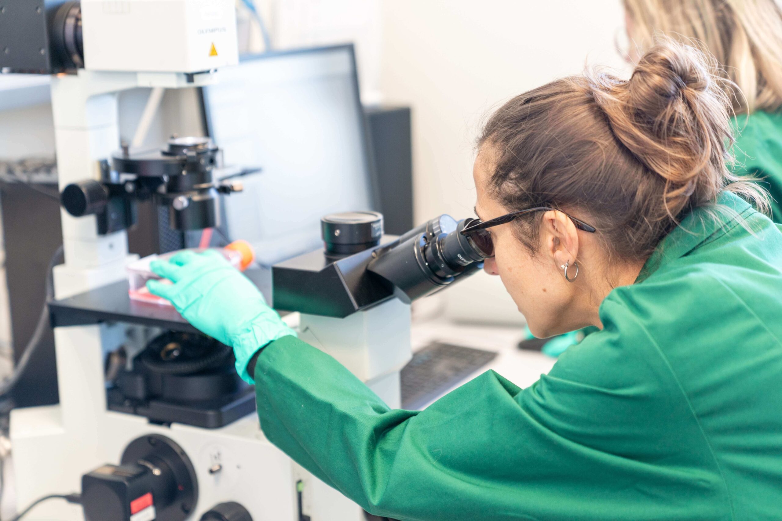 Biotech venture studios explained-turning ideas into therapeutic solutions_Discovery Studio