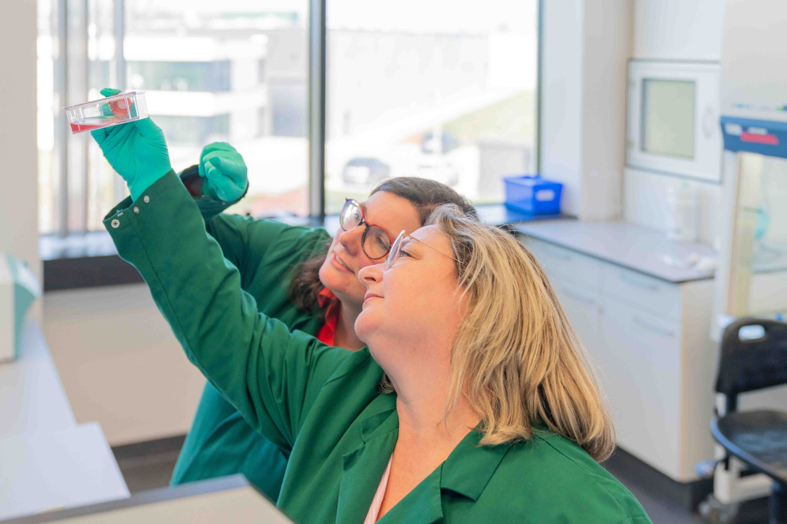 R&D outsourcing vs. in-house when a biology partner makes more sense_Discovery Studio